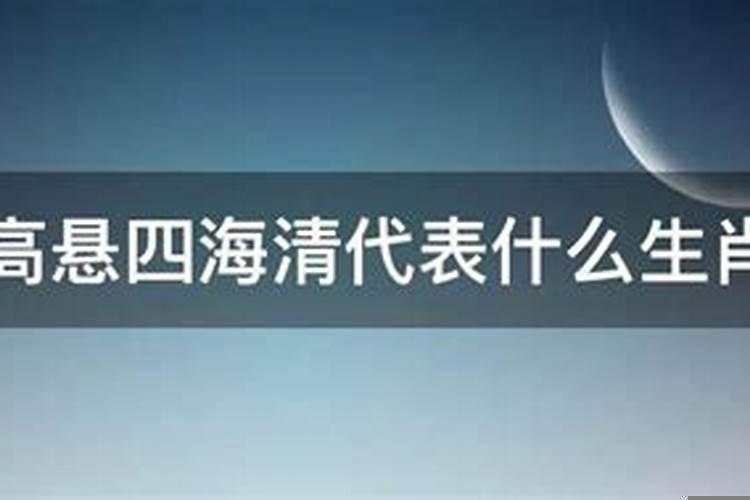 四海一家人代表什么生肖