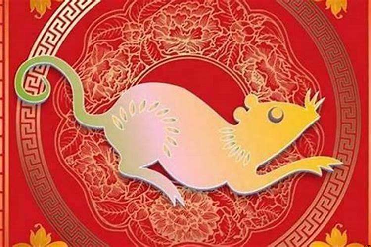 属鼠的住十八层楼好不好