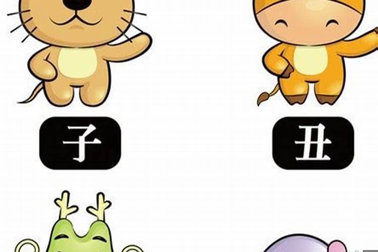 好事成双是啥生肖