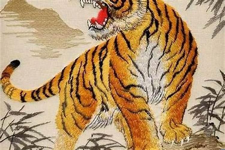 属虎的人财运在哪个方位最好?