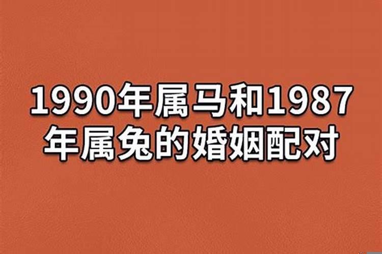 78年马跟87年兔婚姻
