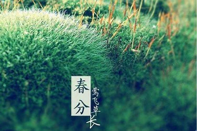 今年七月十六阴历动土好吗建房