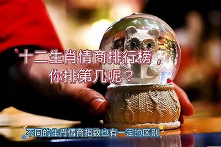 智商情商都高的生肖男