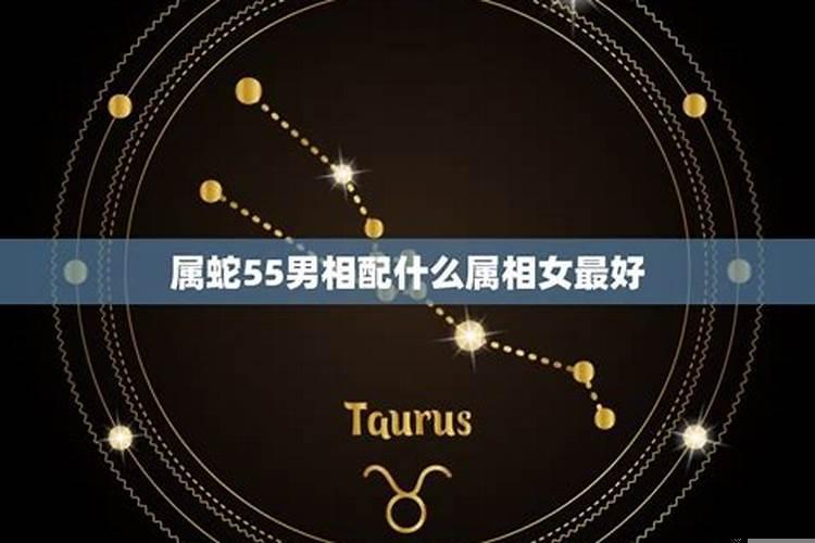 女属相蛇与什么属相男相配最好