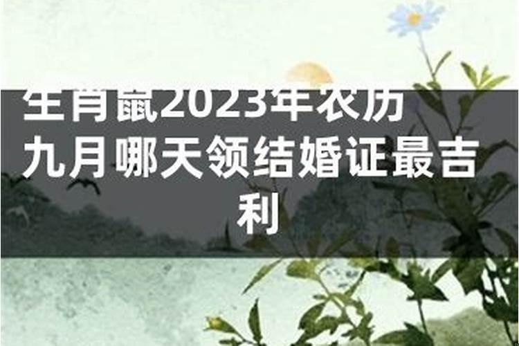 2025年农历九月哪天适合提亲