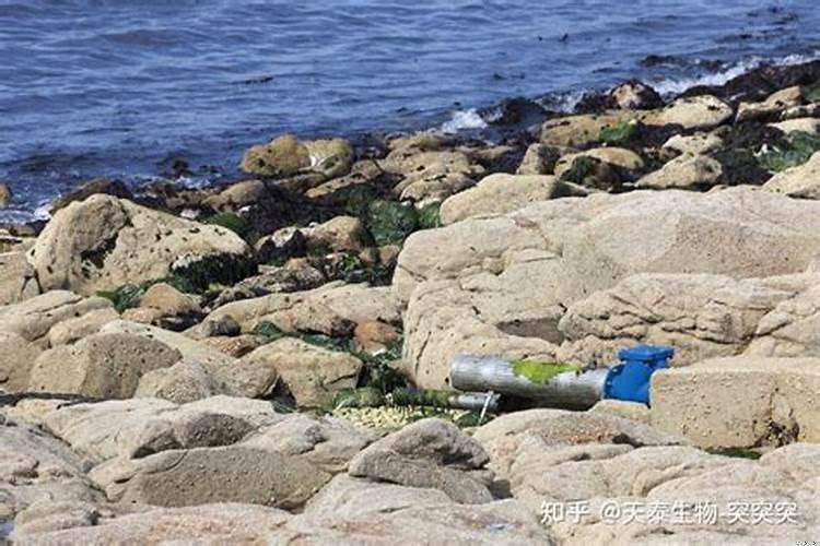 企业厂址如何选择