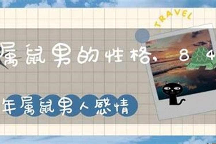 属鼠男的感情性格特点