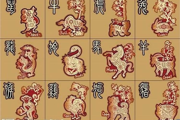 四大土豪是什么生肖