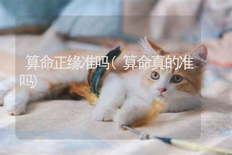 八字看正缘准不准