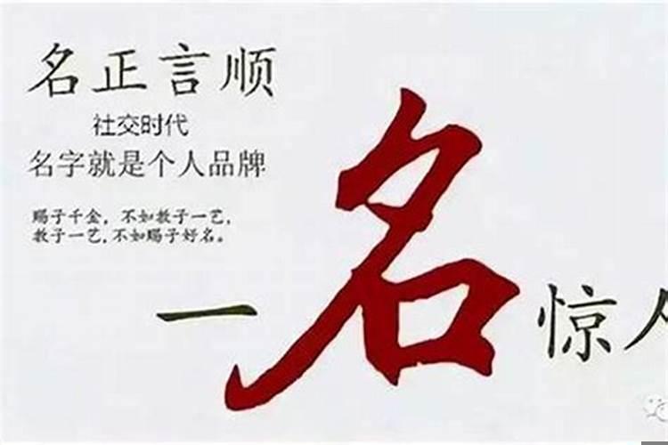 命和运有什么不同