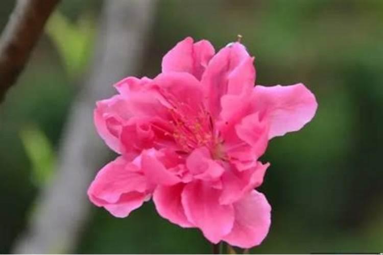 运气不好真的可以化解吗