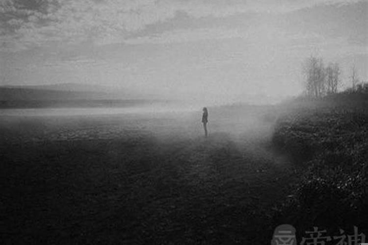 梦到好多蛇缠在身上