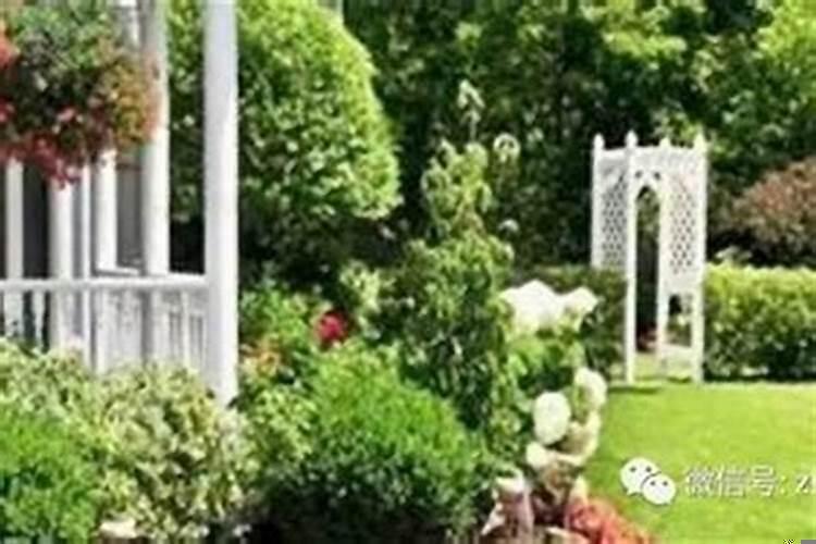 大门在东南角好不好