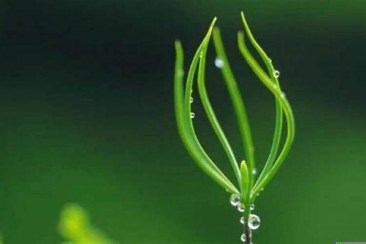 预示你即将要发财的四大征兆