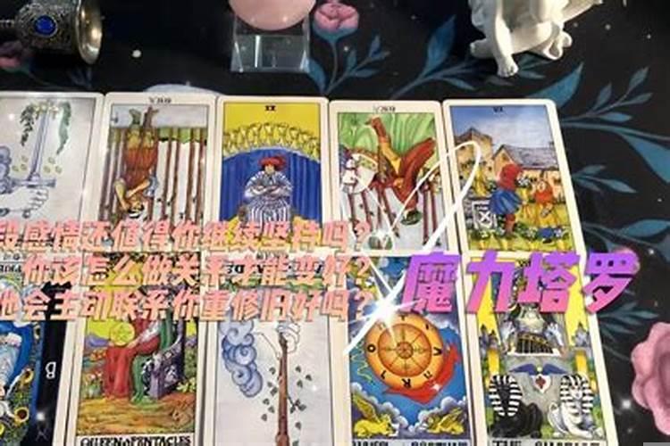 塔罗这段感情该坚持吗