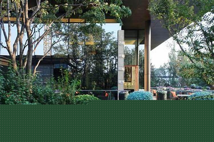 冬青树在家养风水好不好