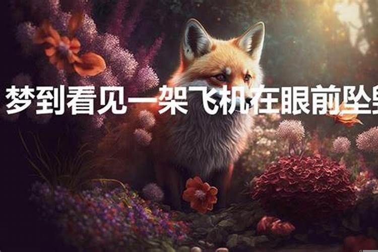梦到特别大的飞机在眼前飞