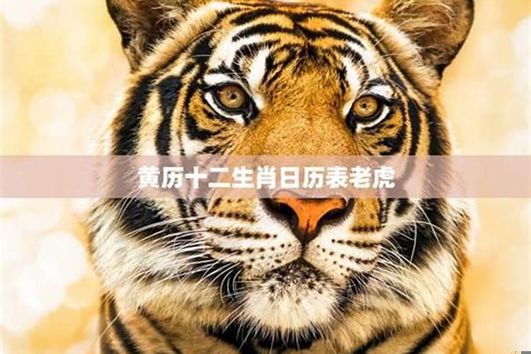 黄历十二生肖日历表2025