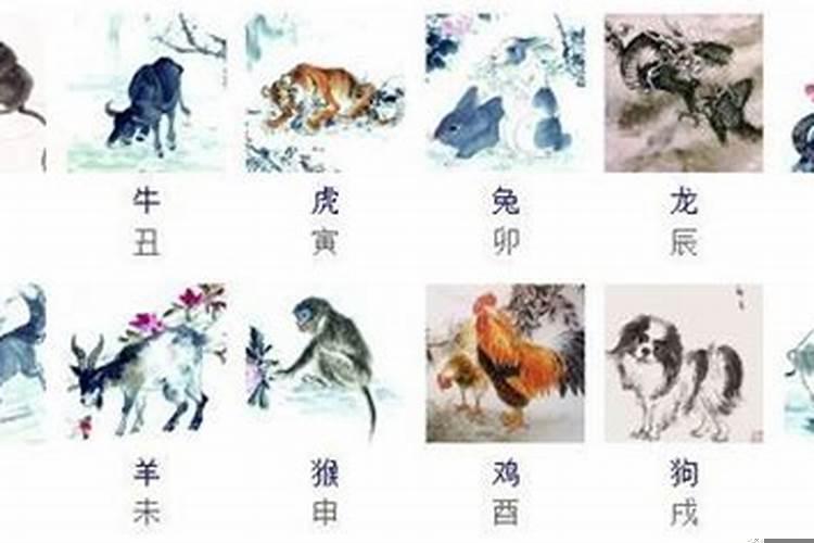 四海一家人代表什么生肖