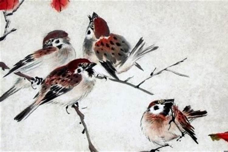 属鸡哪年犯太岁最严重