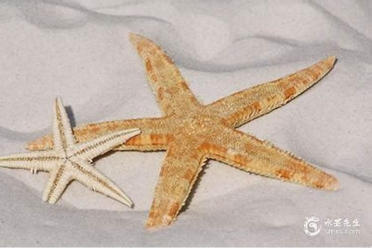 2025年农历九月哪天适合提亲