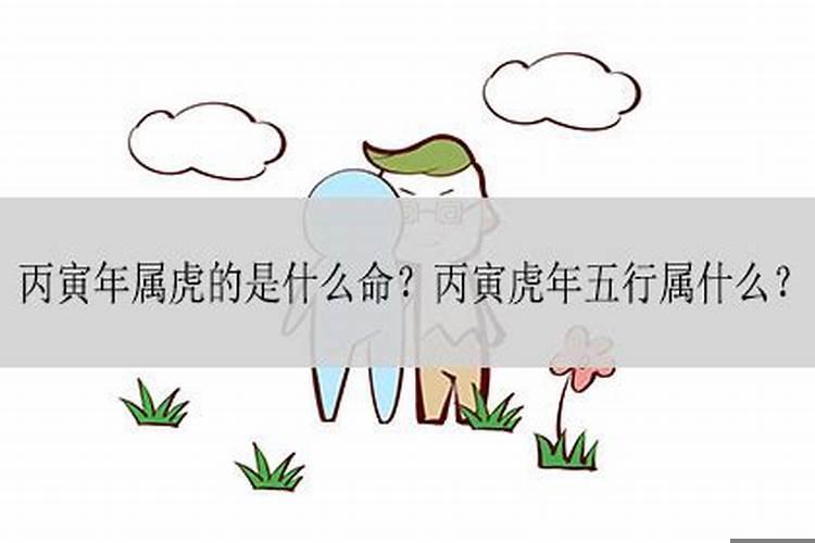 甲寅虎五行属什么