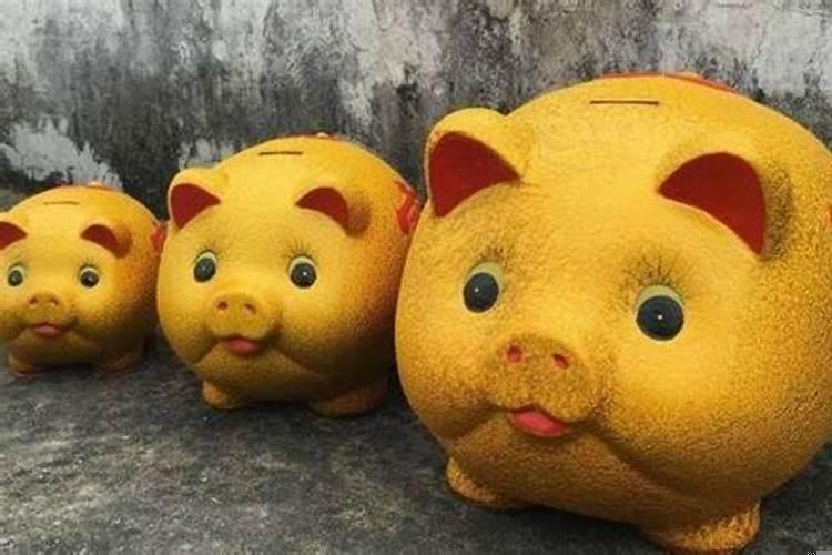 属猪人一生的职业有哪些