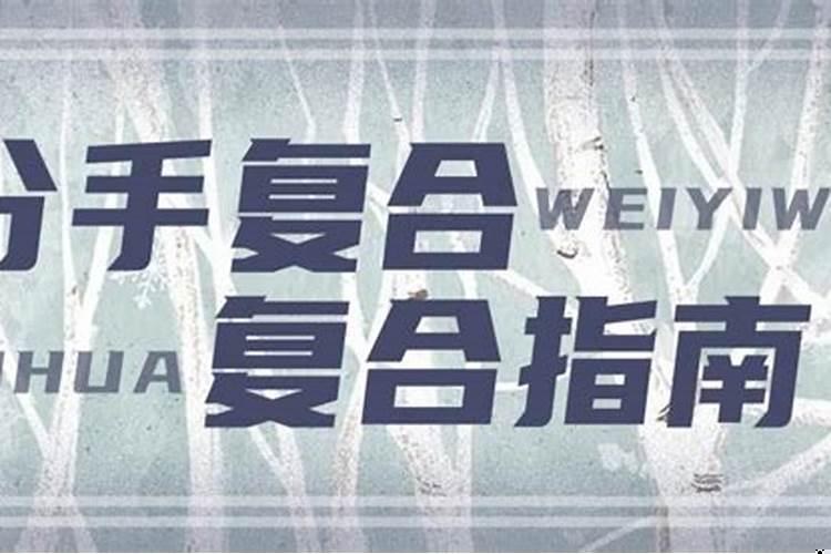 八字看会不会复合