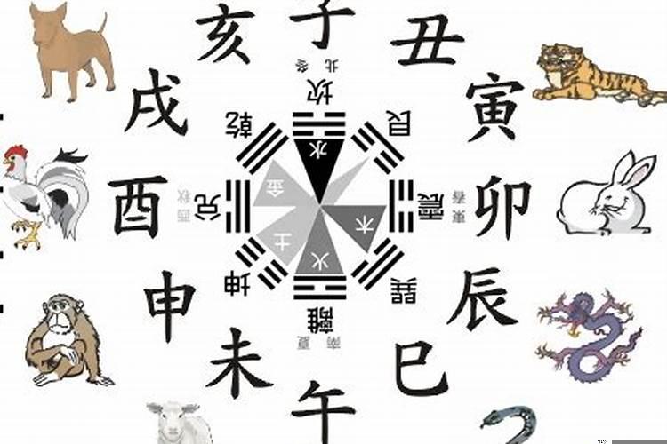 十二生肖住宅楼层吉位