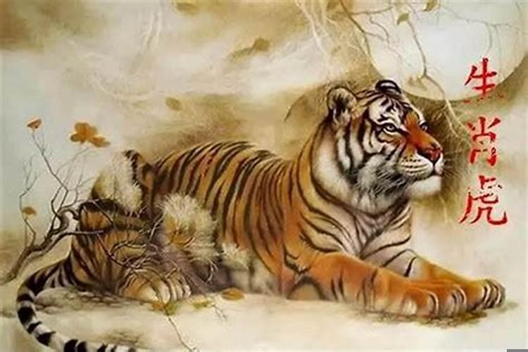 1974属虎人晚年命运