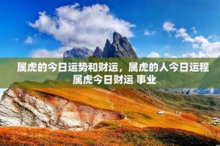 属虎人招财开运方法