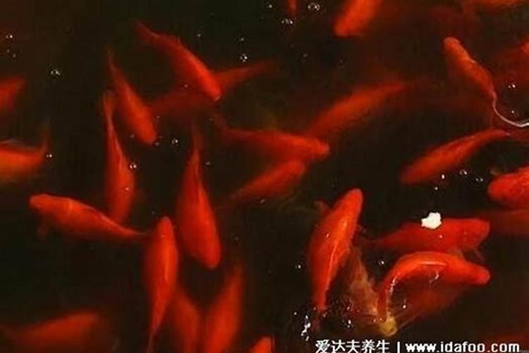 预示你即将要发财的四大征兆