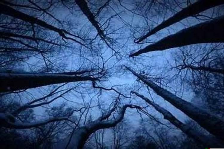 属鼠的住十八层楼好不好