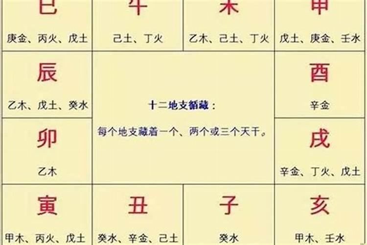 年月日时柱分别代表什么