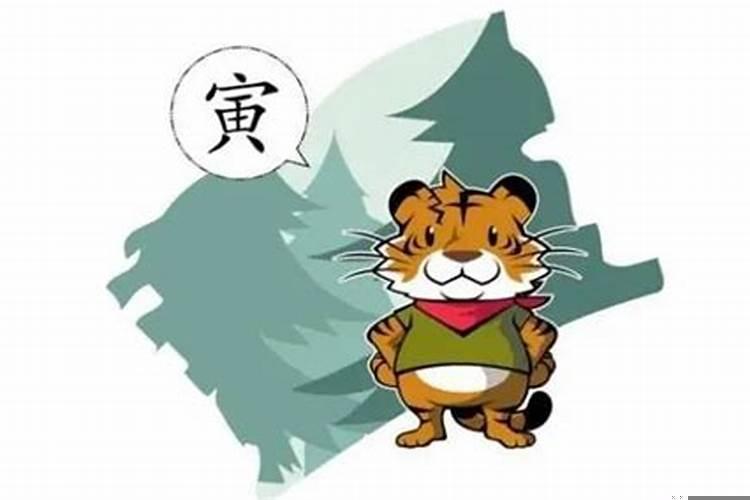 甲寅虎五行属什么