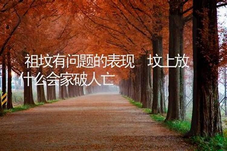 祖坟有问题