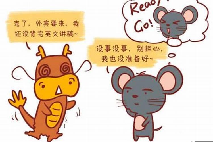 属鼠下半年的运势怎么样