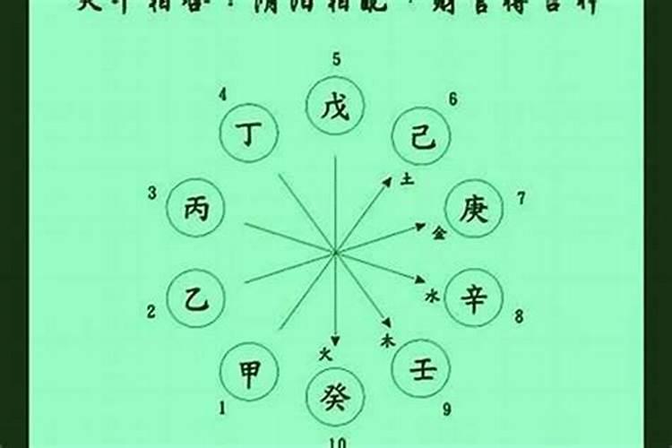 什么命是看纳音还是天干地支