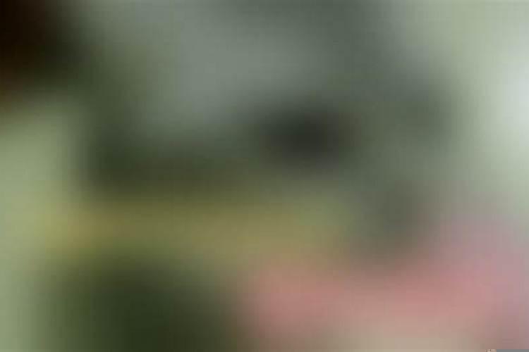 梦见别人不帮我忙