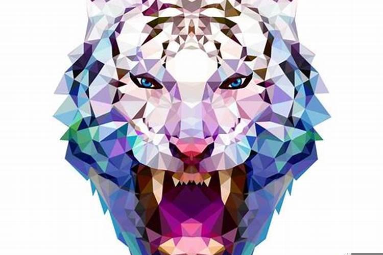 虎男和龙女结婚好吗