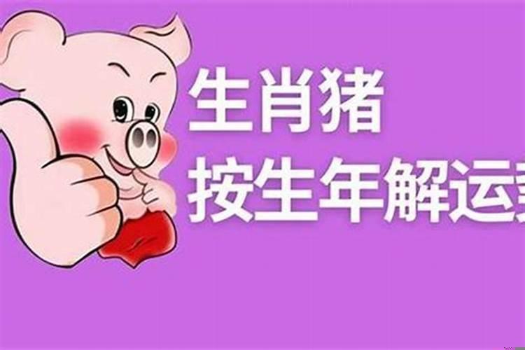 好运不断的生肖