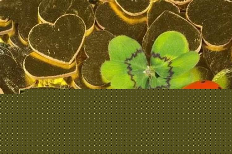 事业不顺跟家里风水有关系吗