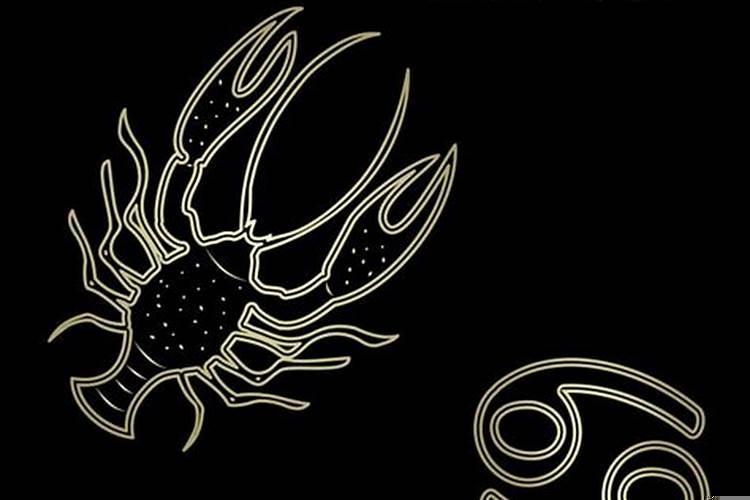 巨蟹座和什么星座匹配