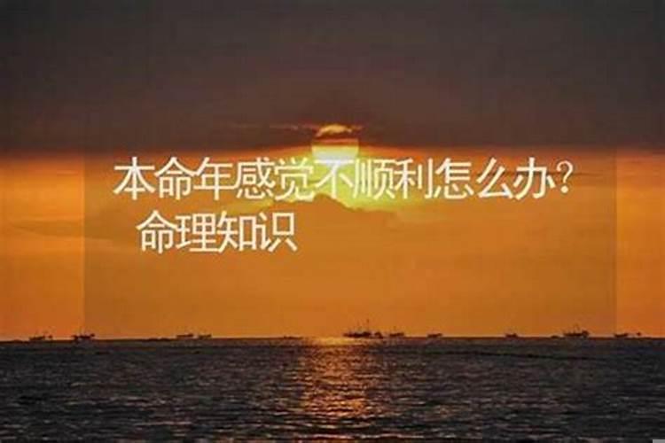 本命年是不是都会不顺