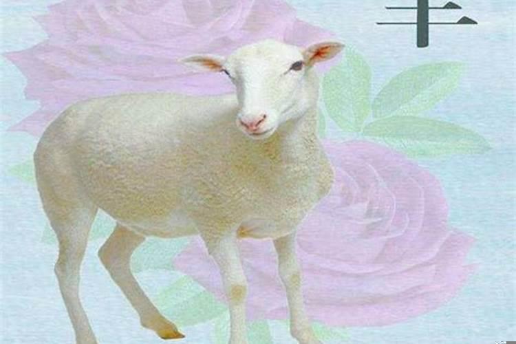 属羊和那个属相不合