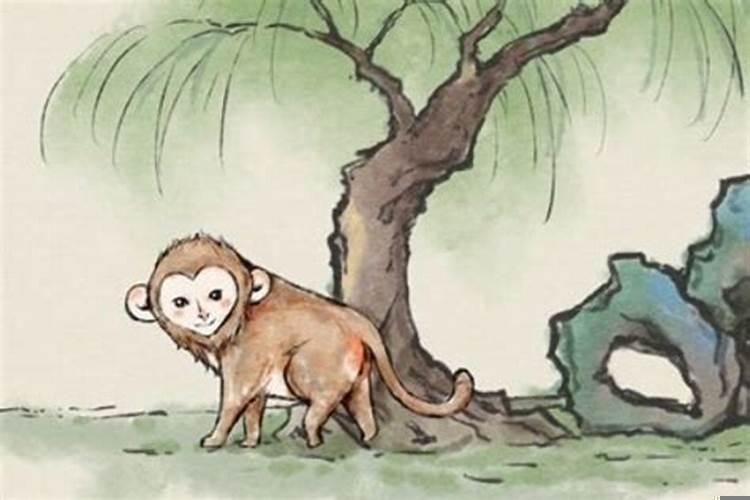 1992年属猴一生有二婚之命