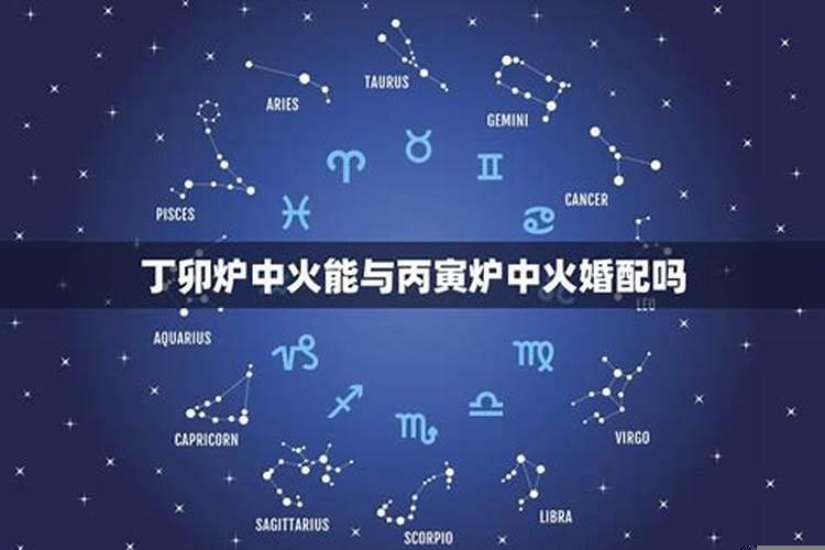 丁卯月丙子日八字实例