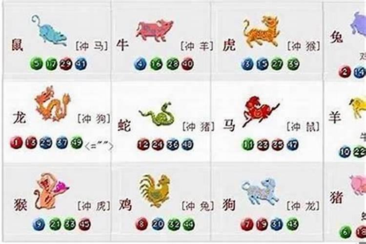 狗的三合是什么生肖