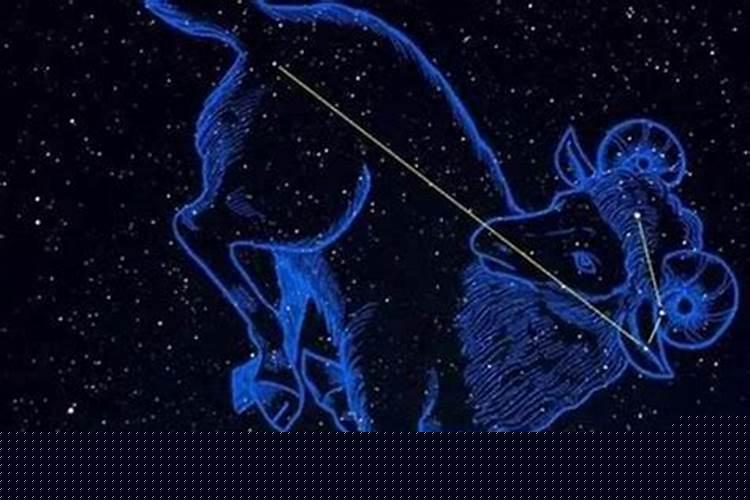 今天财运最旺的生肖