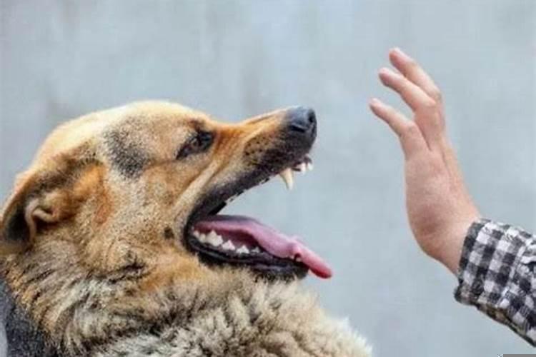 梦见朋友成为自己女朋友